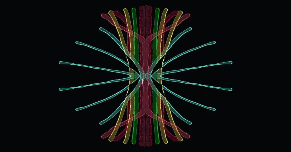 Geometric Symphony