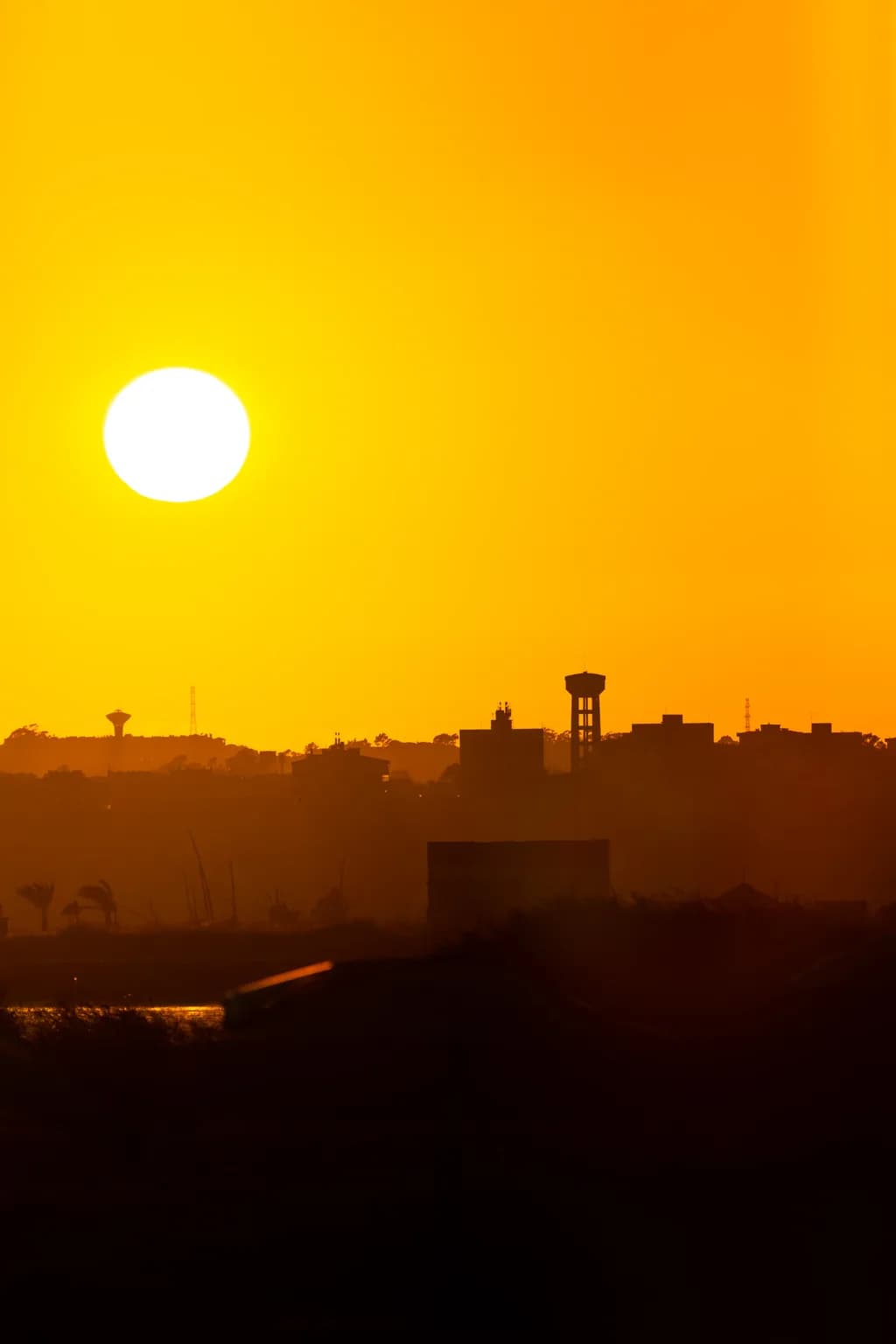 Golden Horizon