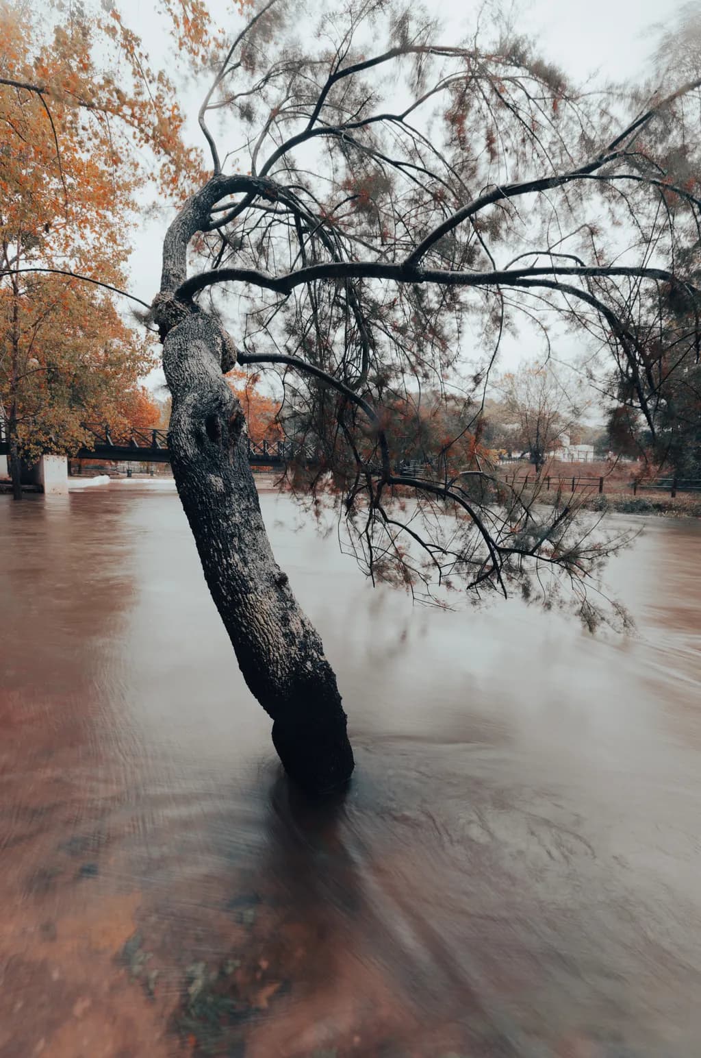 Autumn Reflection
