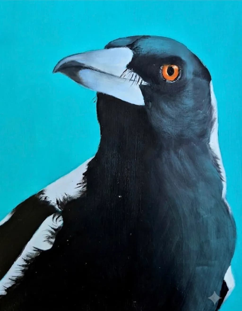 Bright-Eyed Magpie