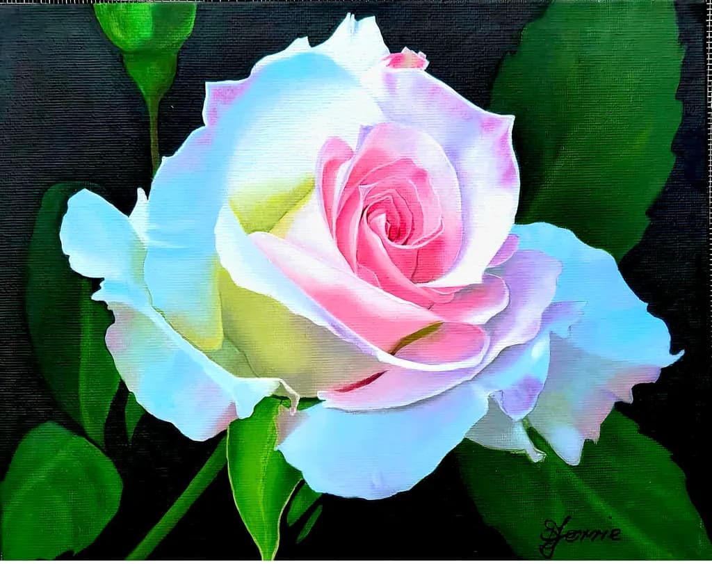 Blush Rose