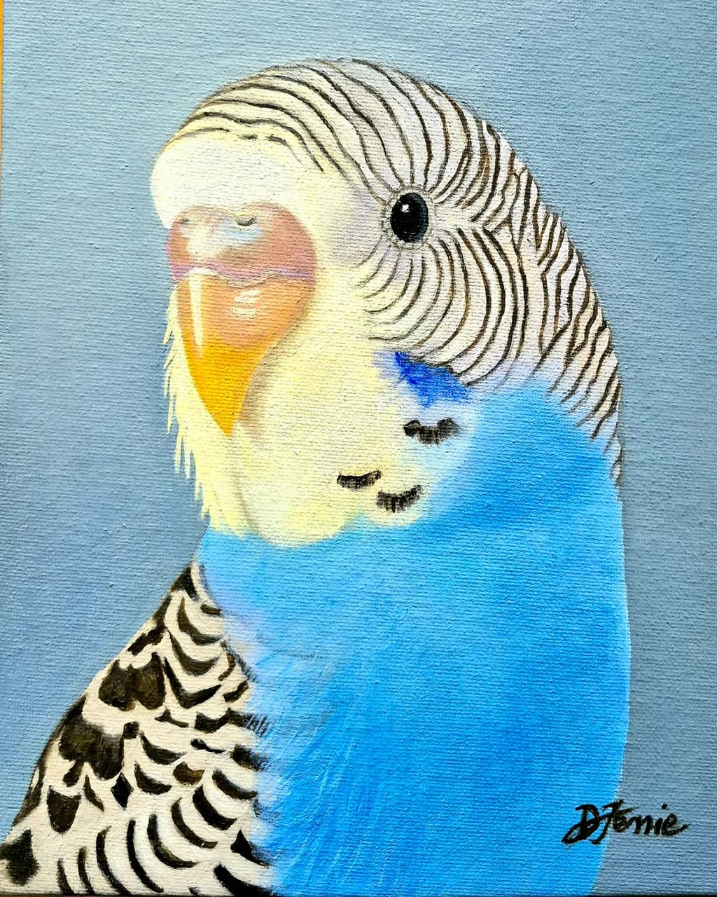 Blue Budgerigar Portrait