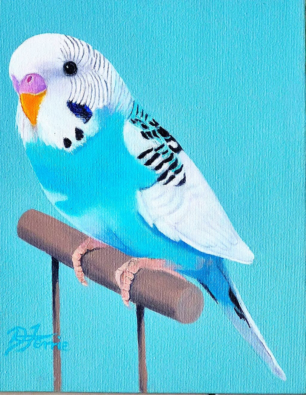 Blue Budgerigar Perch
