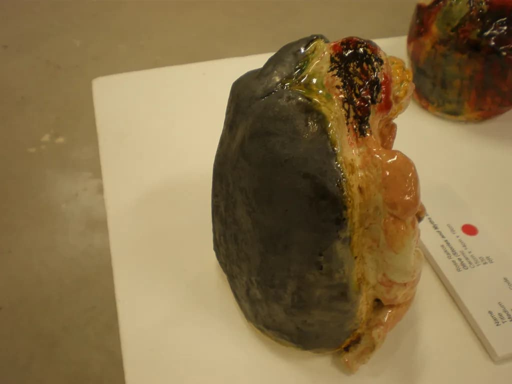 Glazed Contours