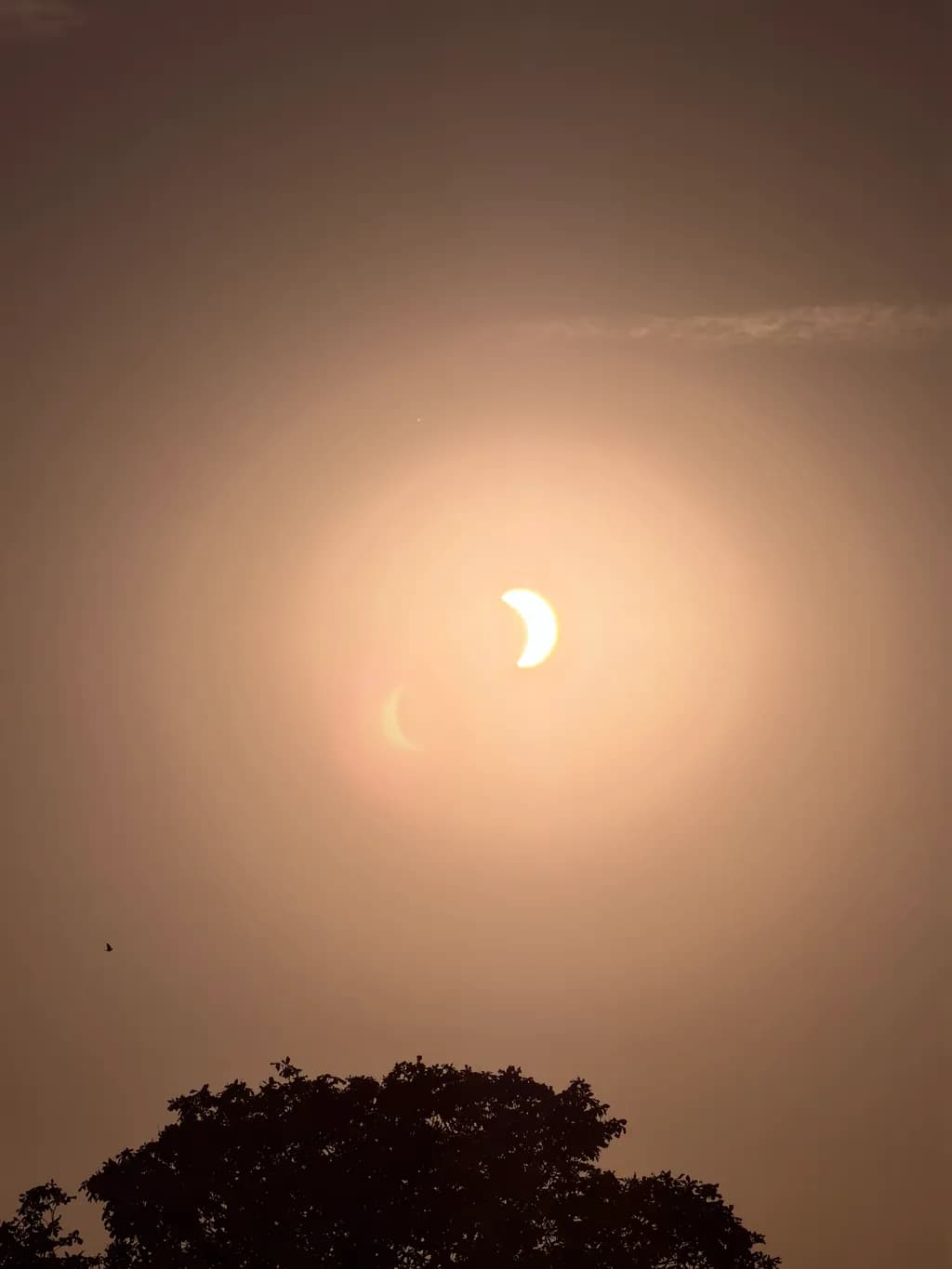 Eclipse Mood