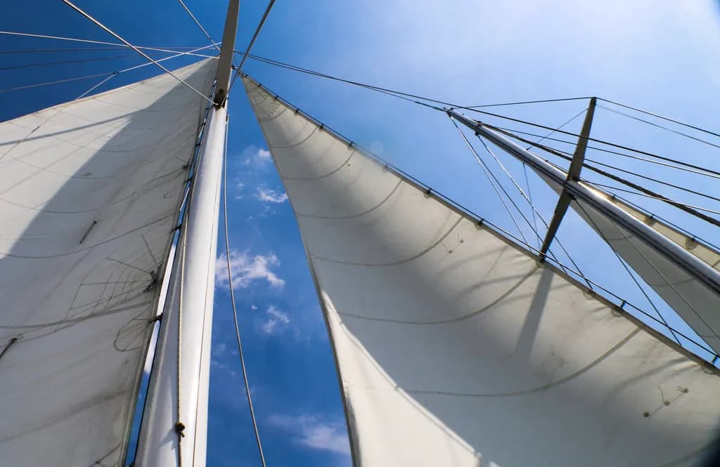 Sails in Motion