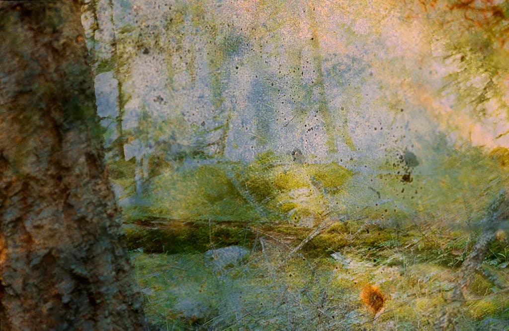 Kokanee Park Layers