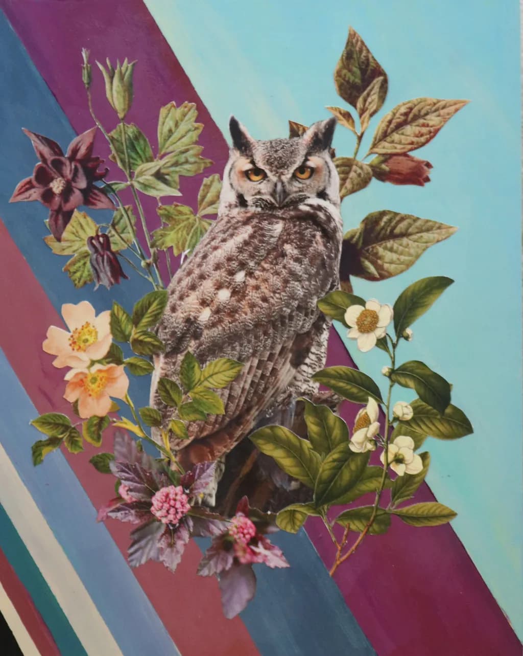 Owl Collage