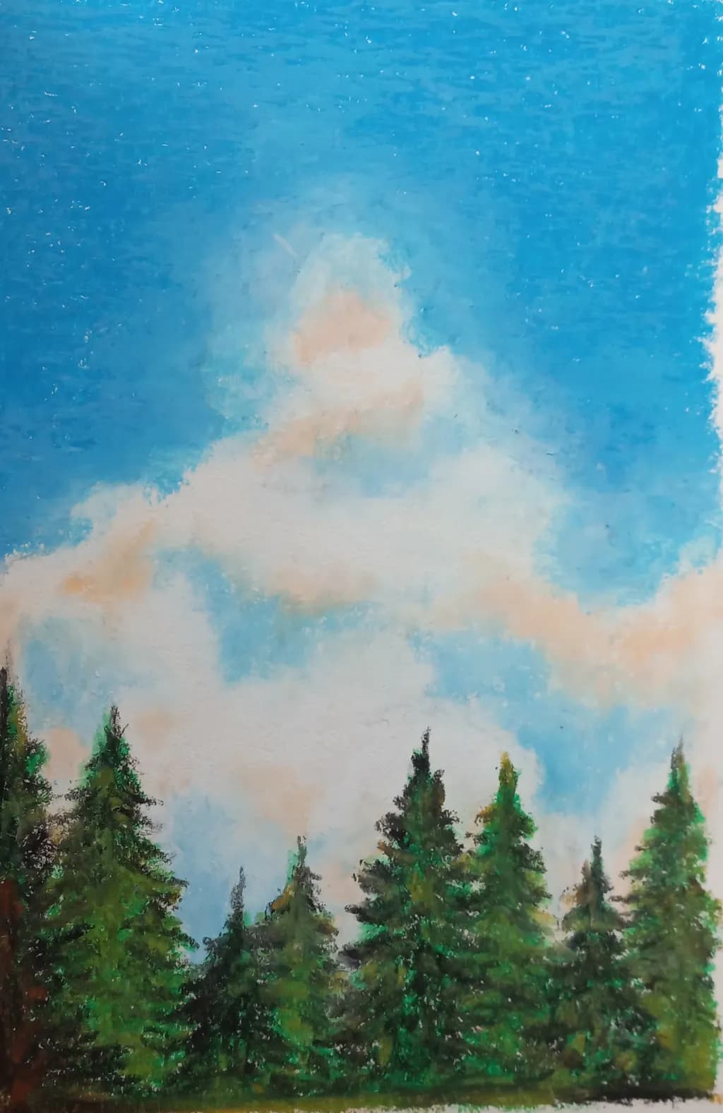 Skyward Pines