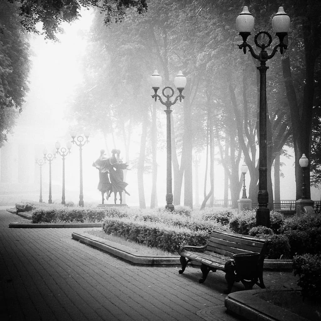 Misty Park Moments