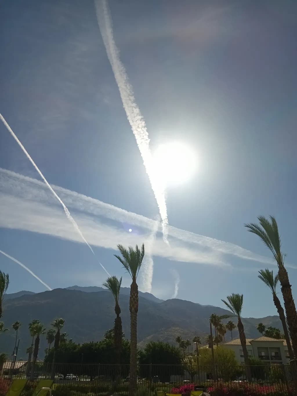 Sunlit Trails