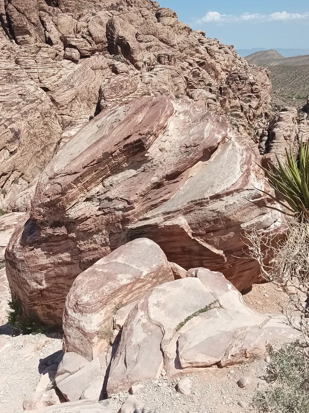 Desert Formations