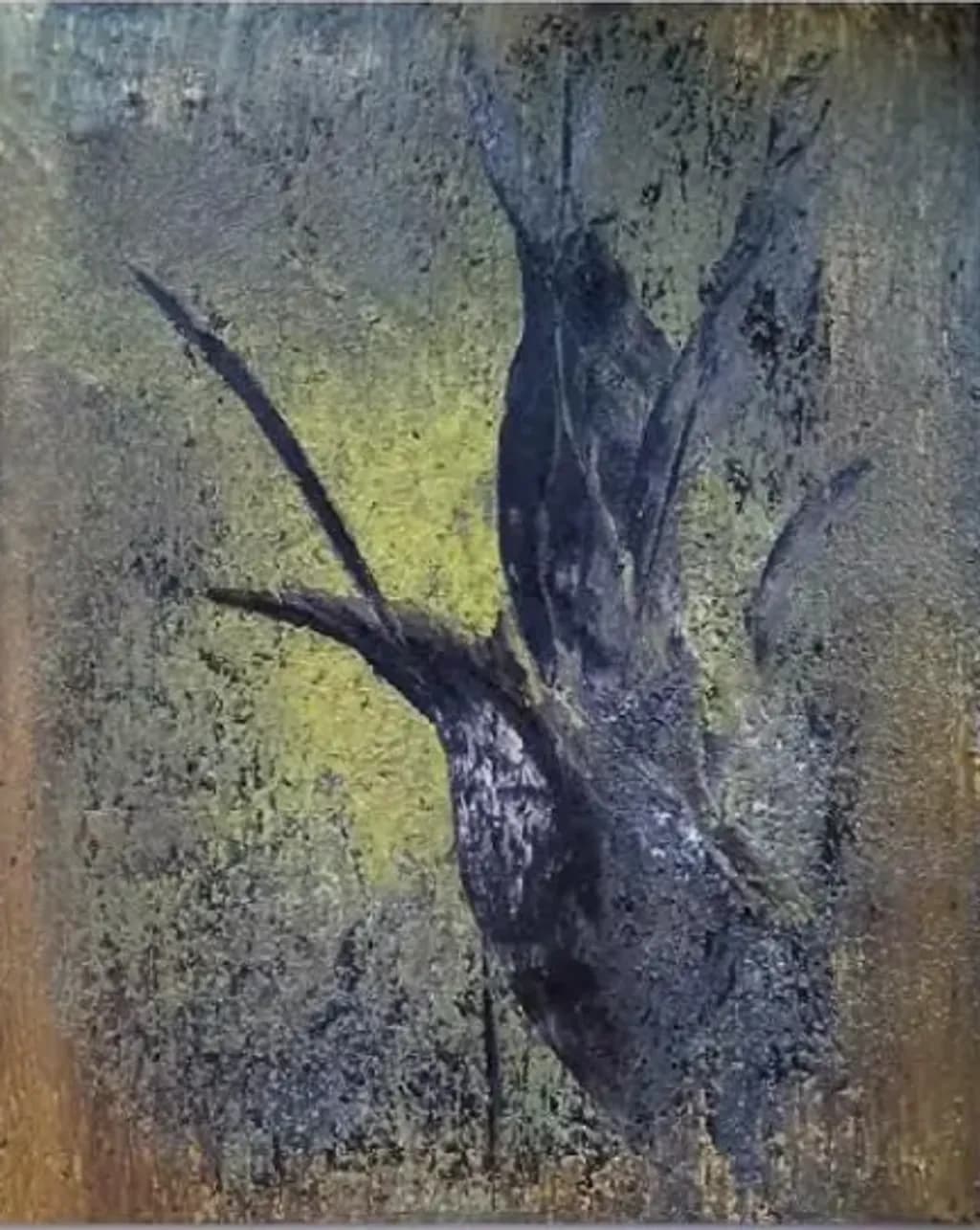 Shadowed Branch