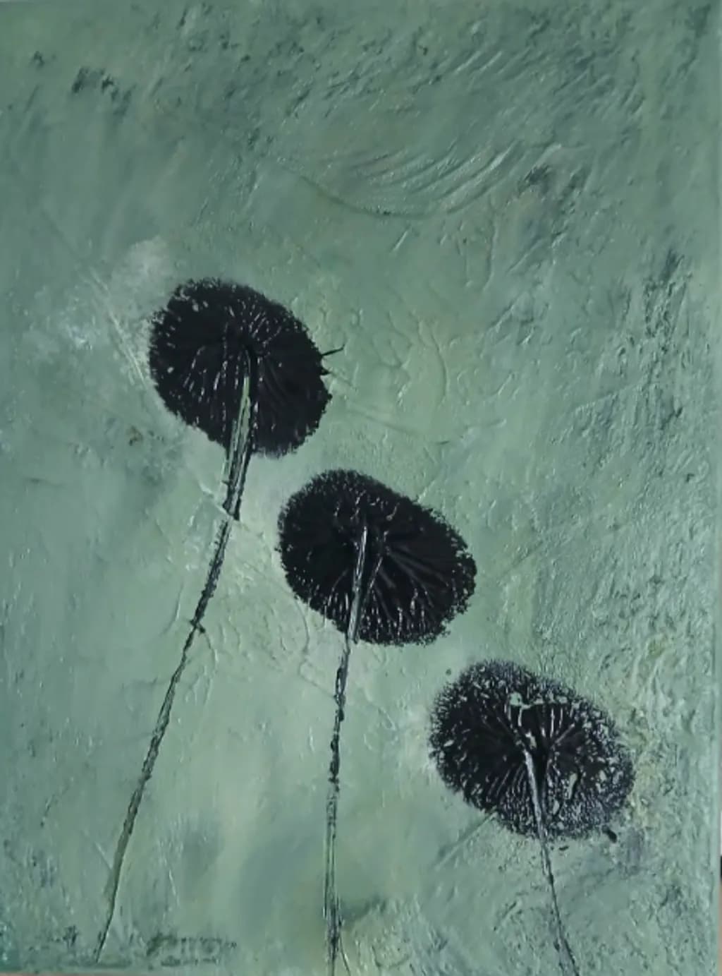 Silent Blooms