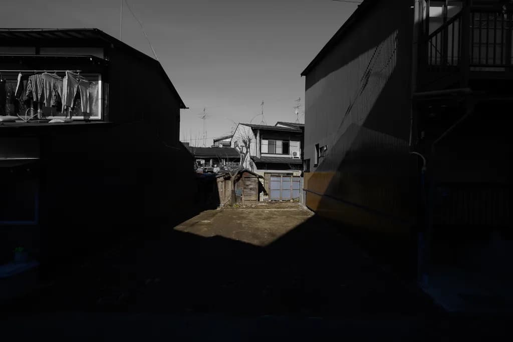 Urban Shadows
