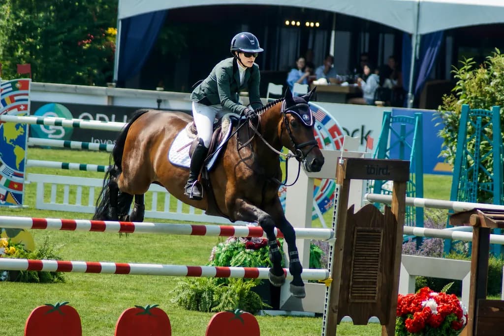 Equestrian Jump