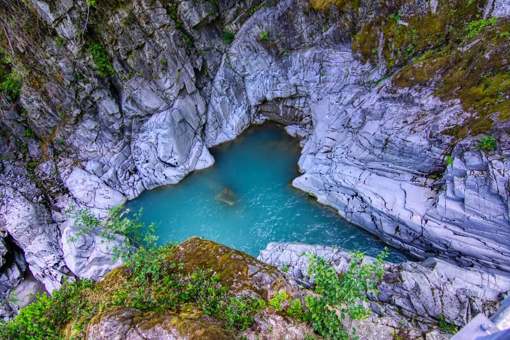 Rock Pool View