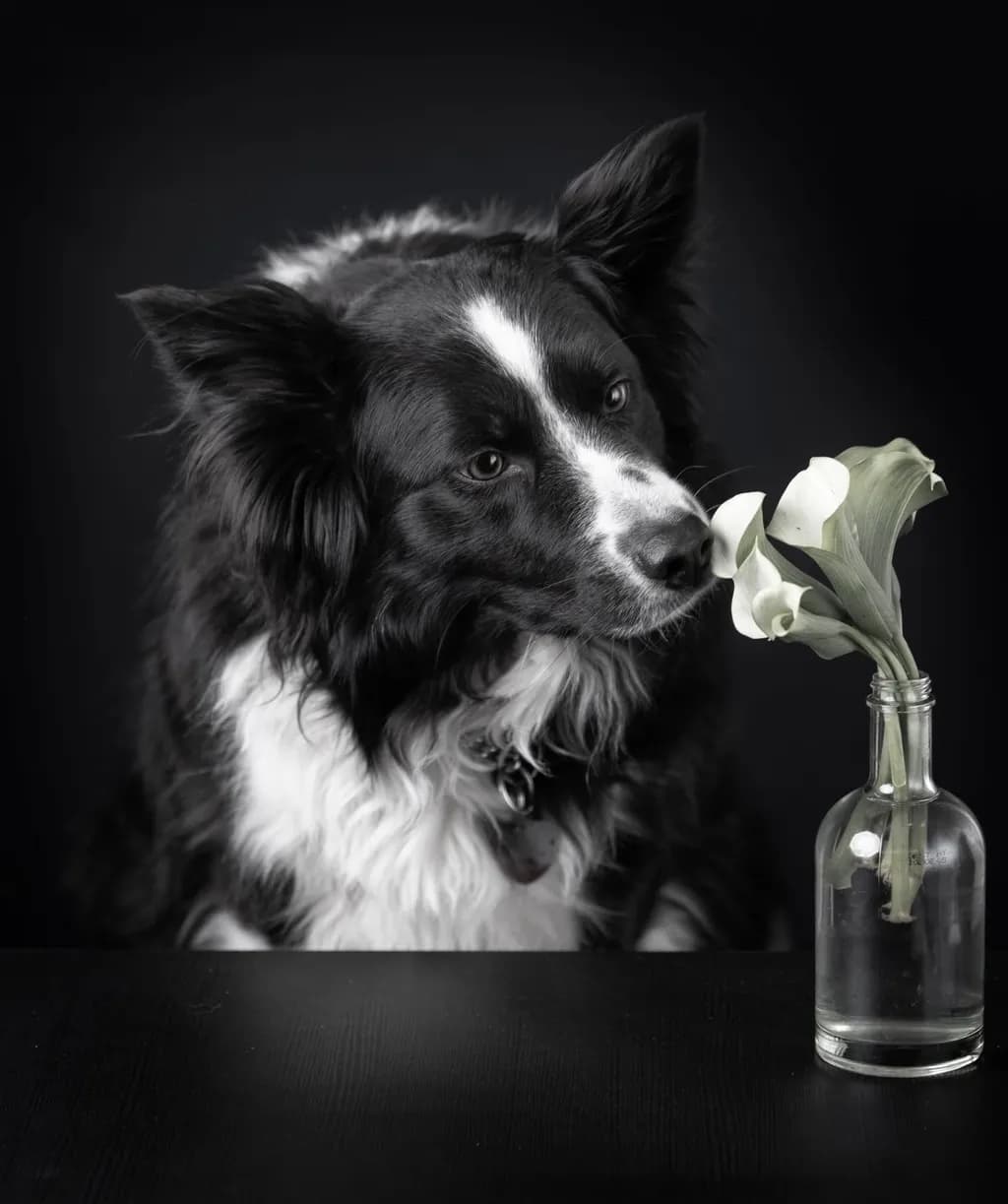 Floral Curiosity
