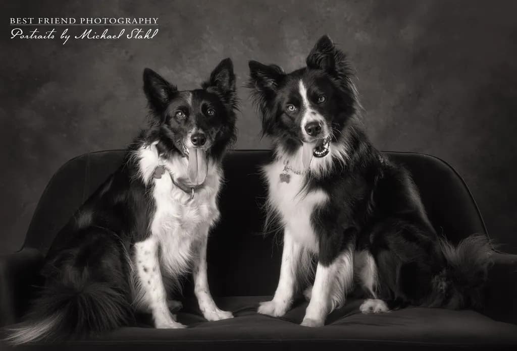 Dual Gaze