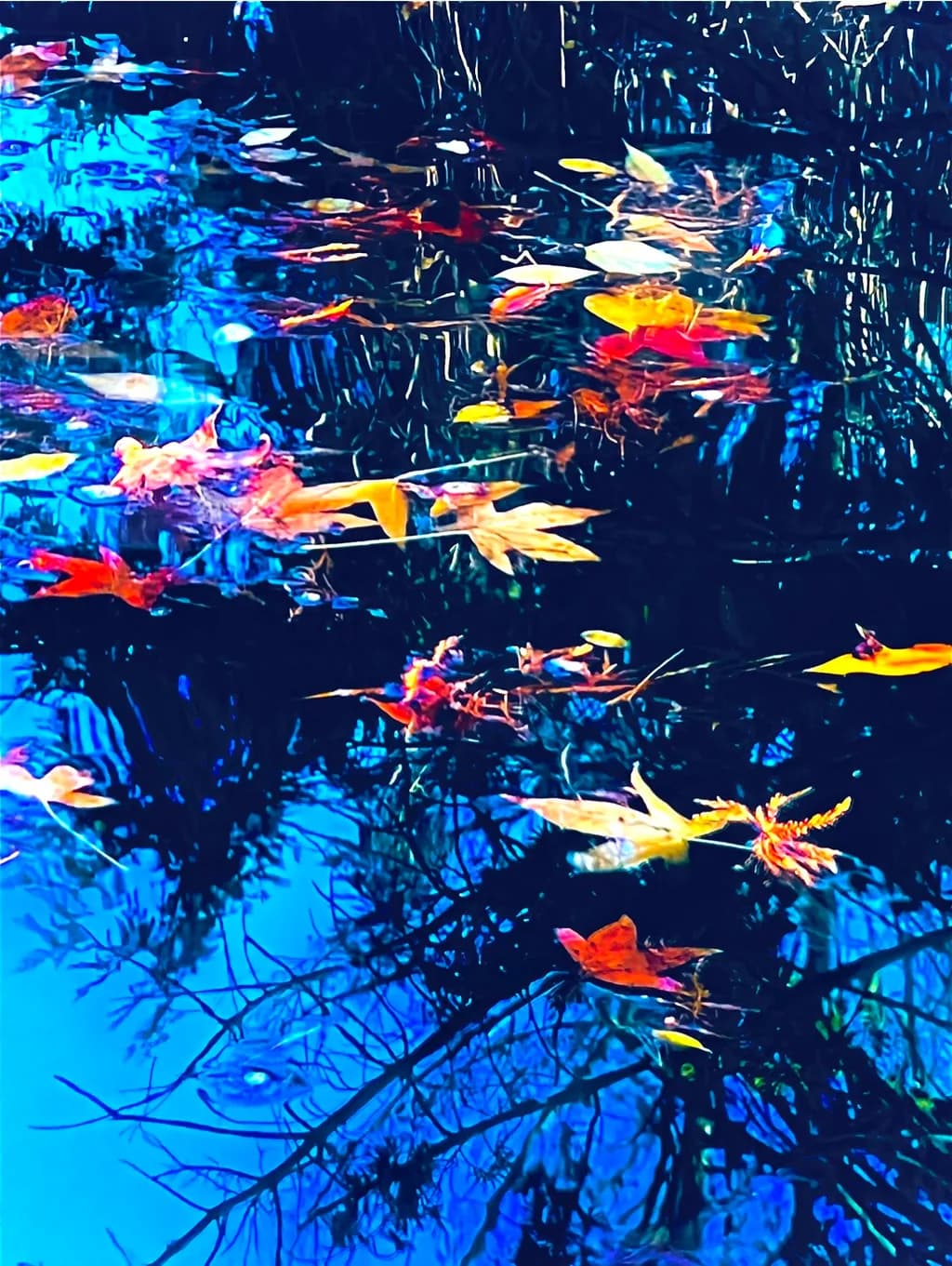 Autumn Reflections