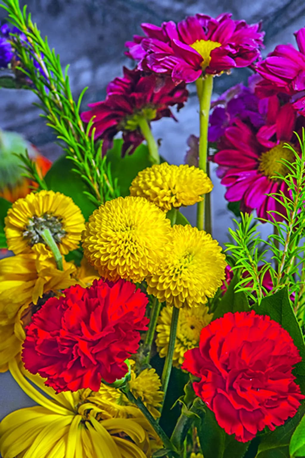 Colorburst Blooms