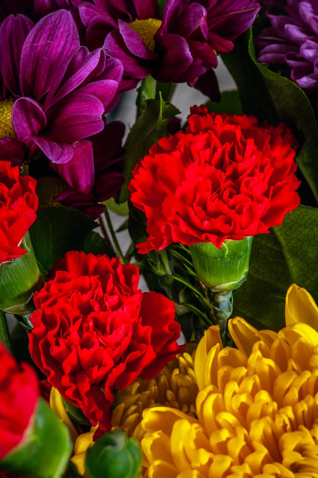Carnival Blossoms