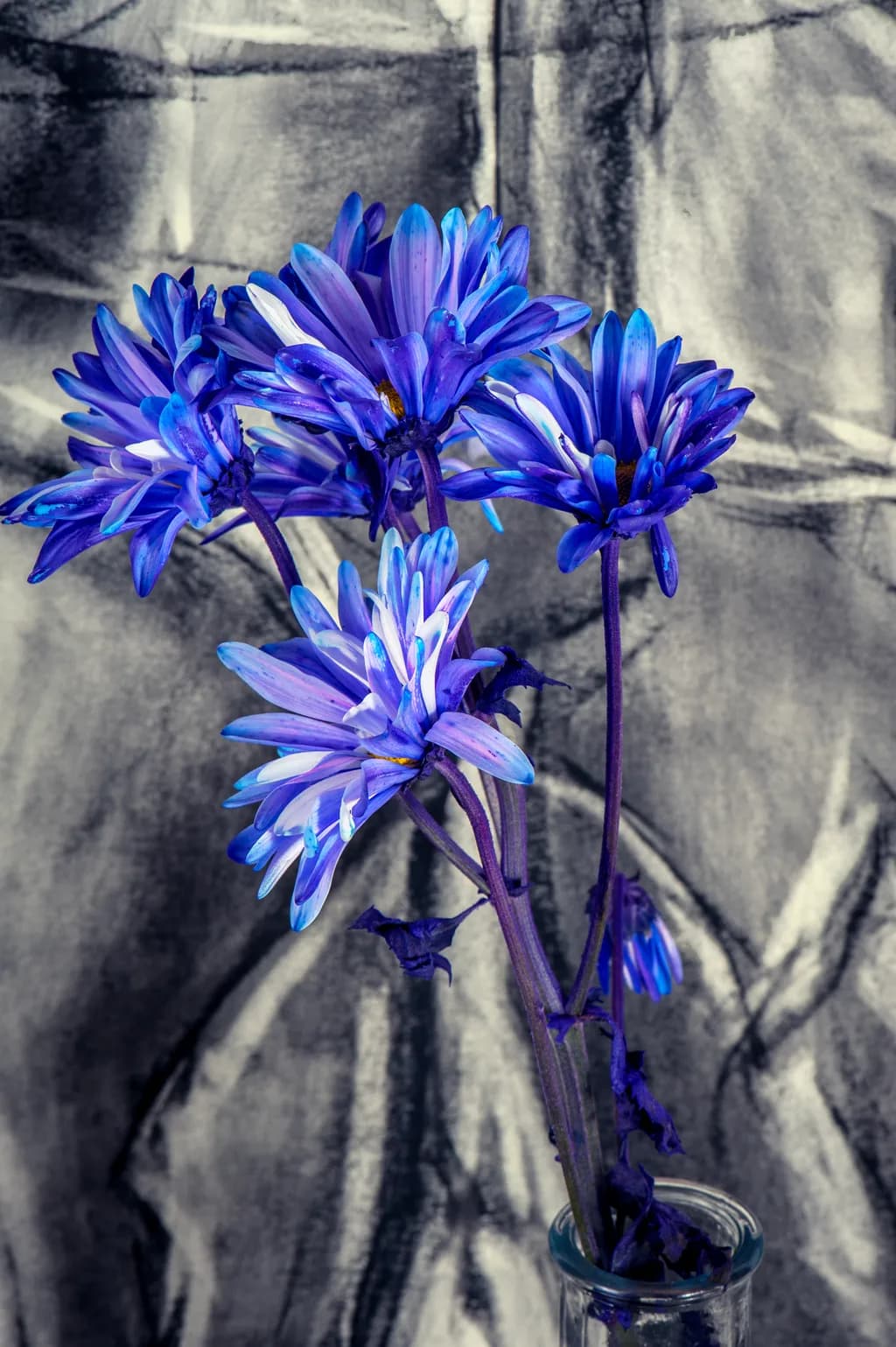 Blue Struck Blooms