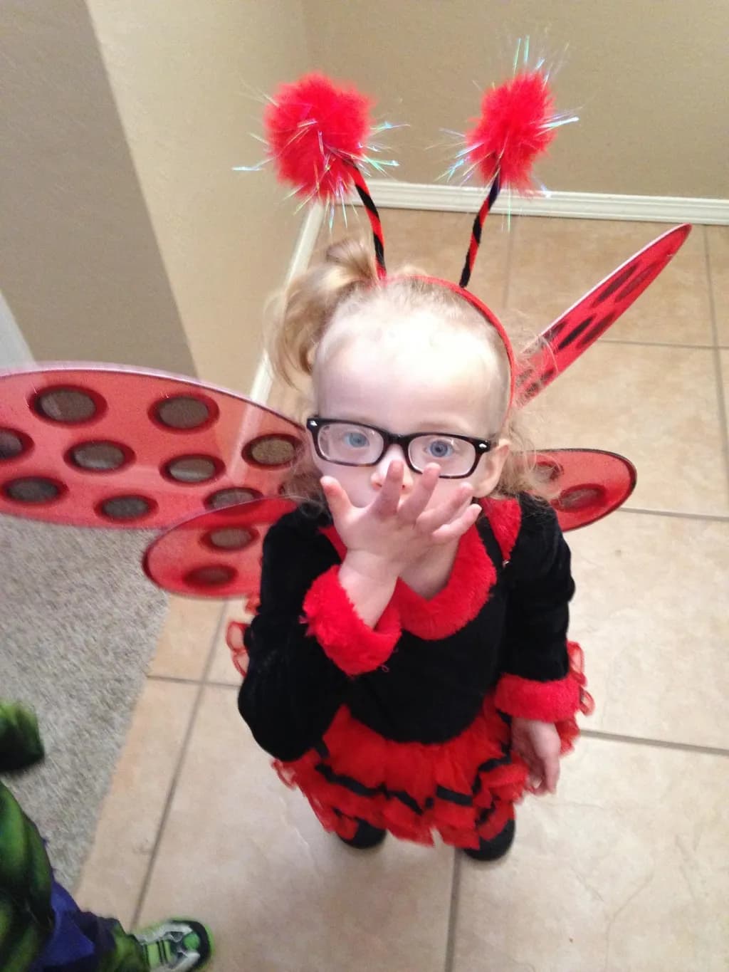 Ladybug Delight