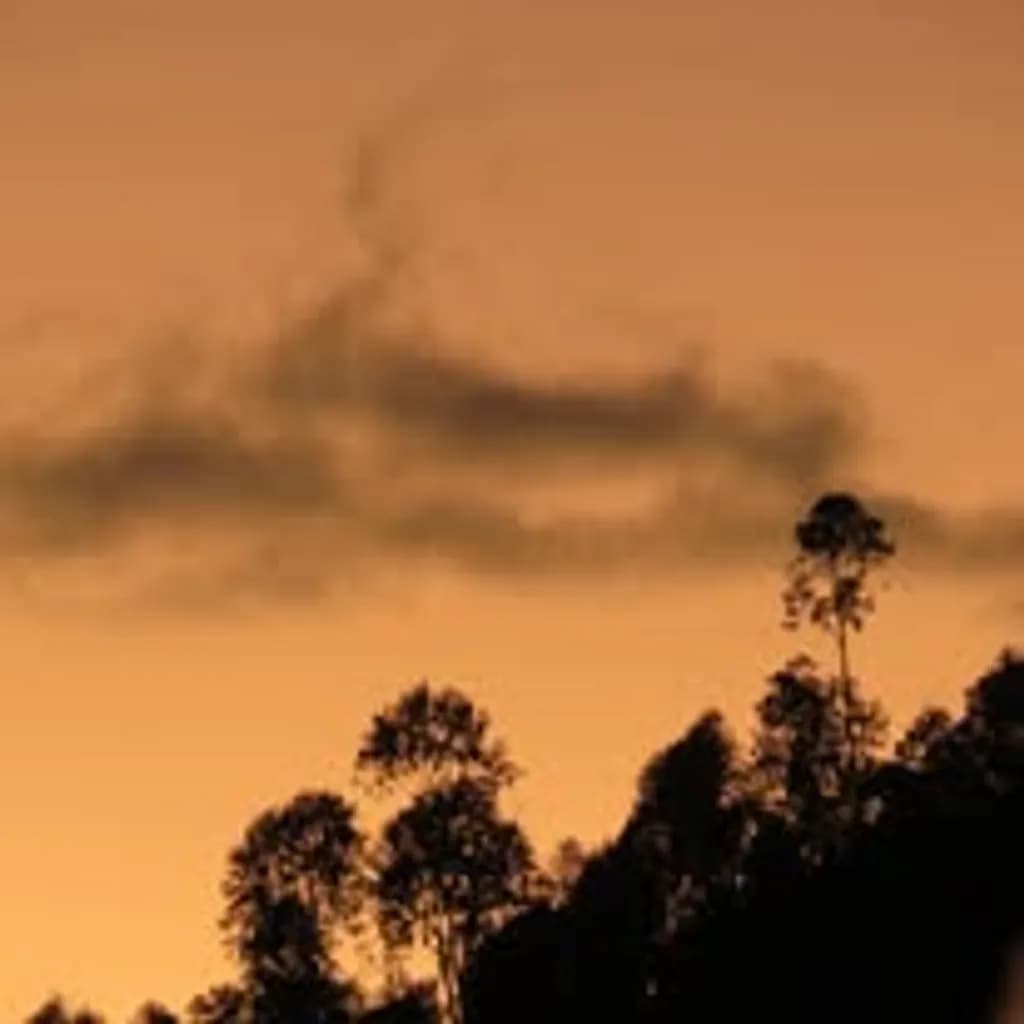 Ocaso Silhouette
