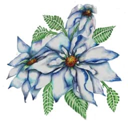 Blue Petal Trio