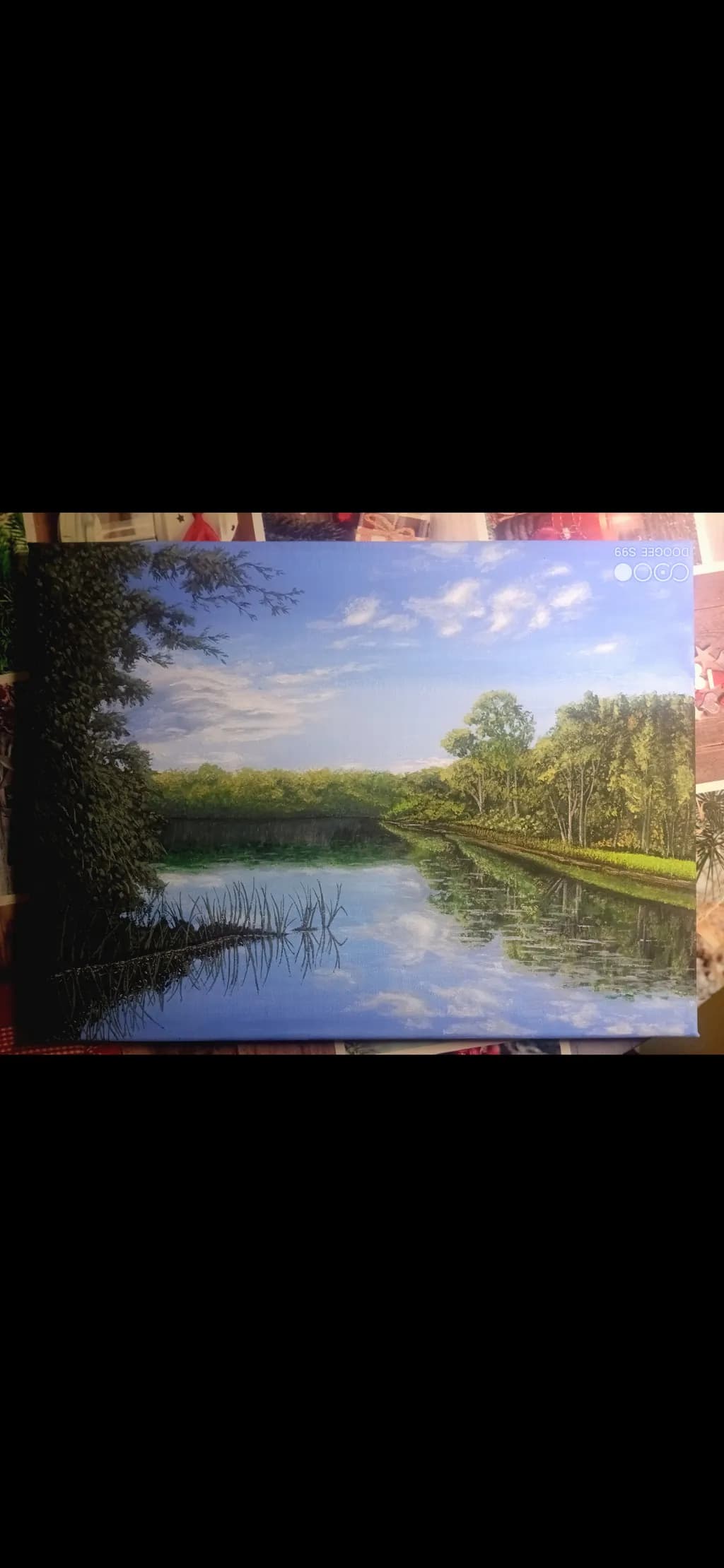 Reflections of Nature