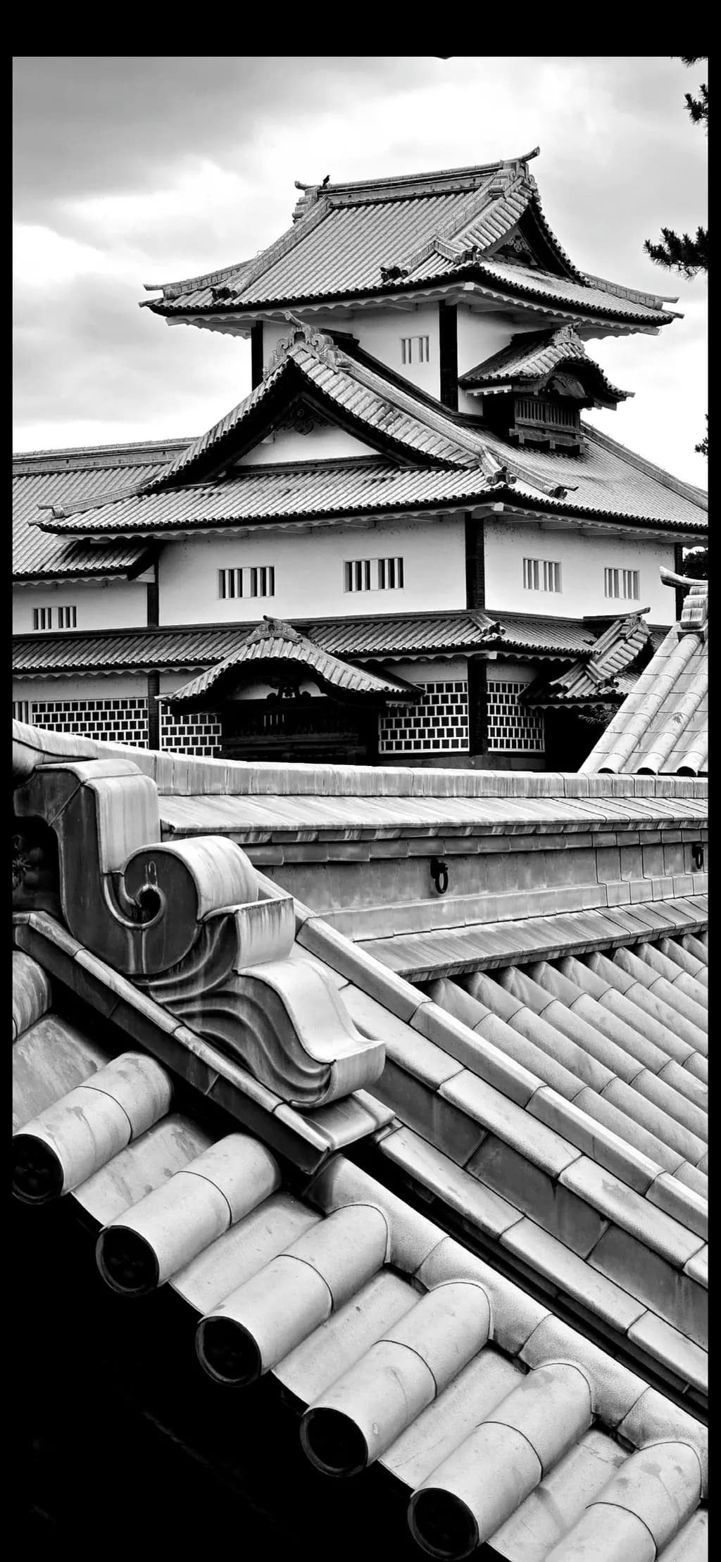 Monochrome Rooftops