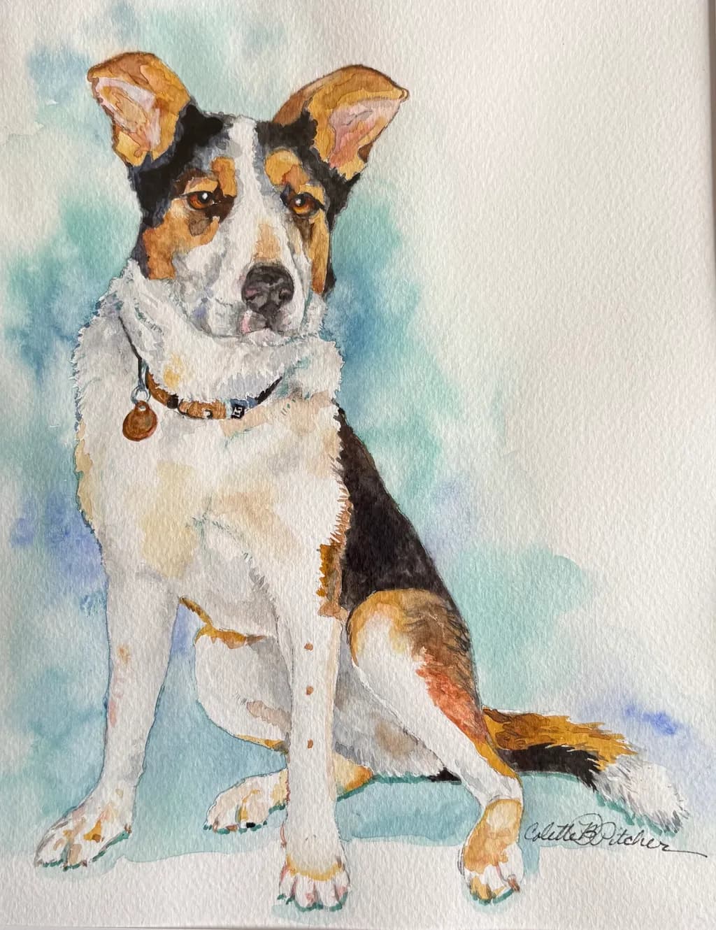 Tricolor Watchdog