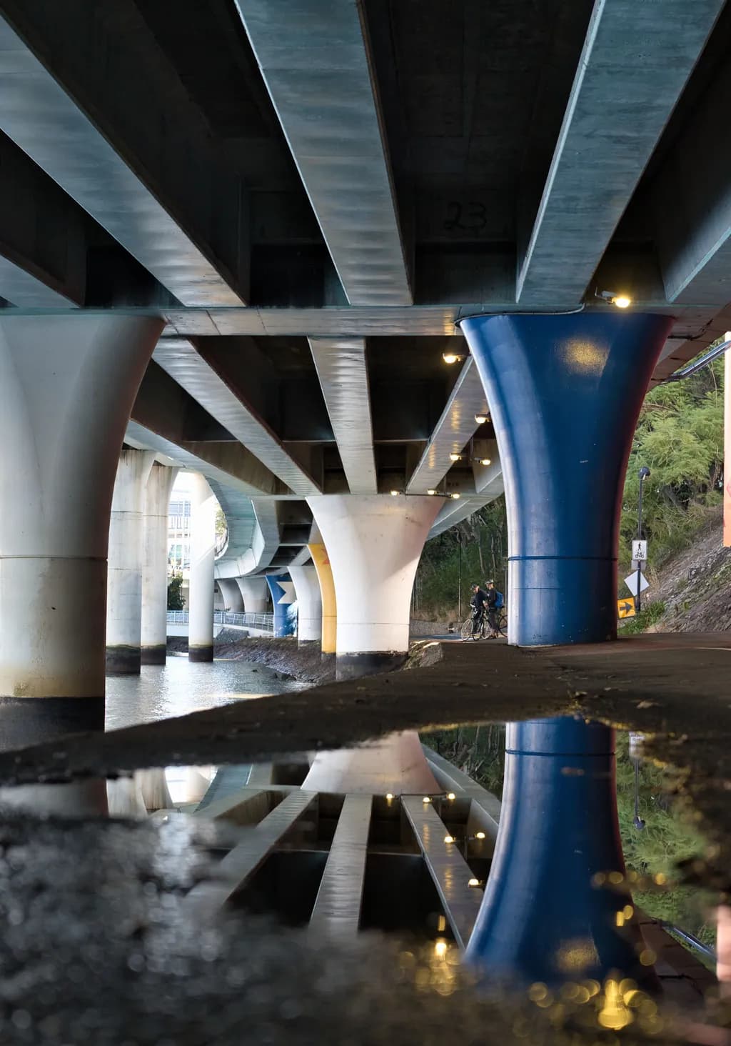Under the Freeway Reflection