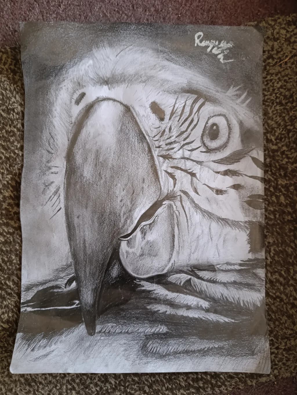 Monochrome Bird Portrait