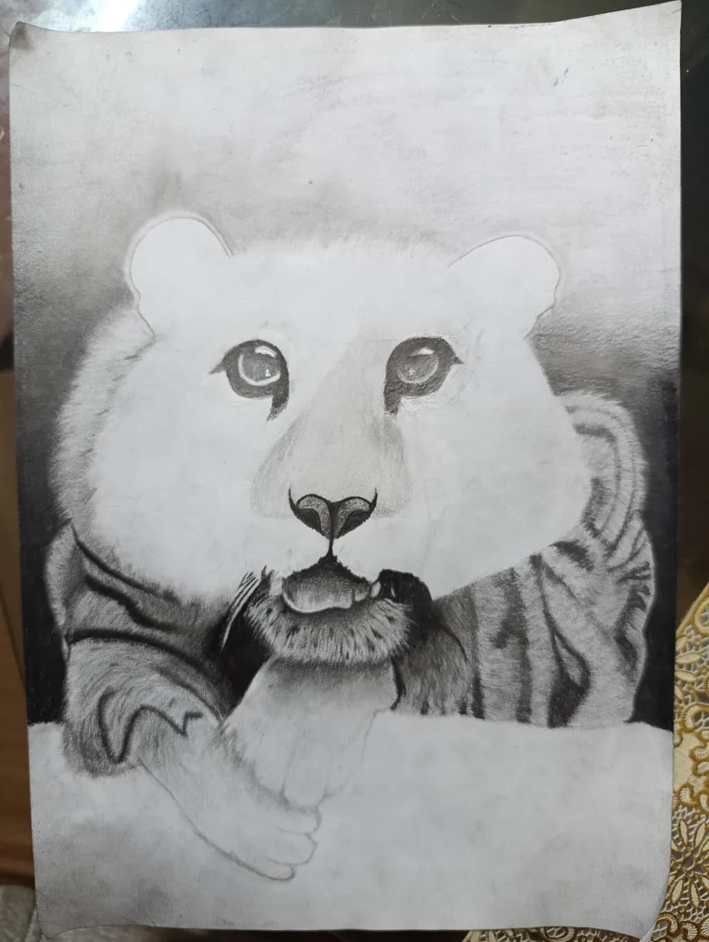 Incomplete Tiger Portrait