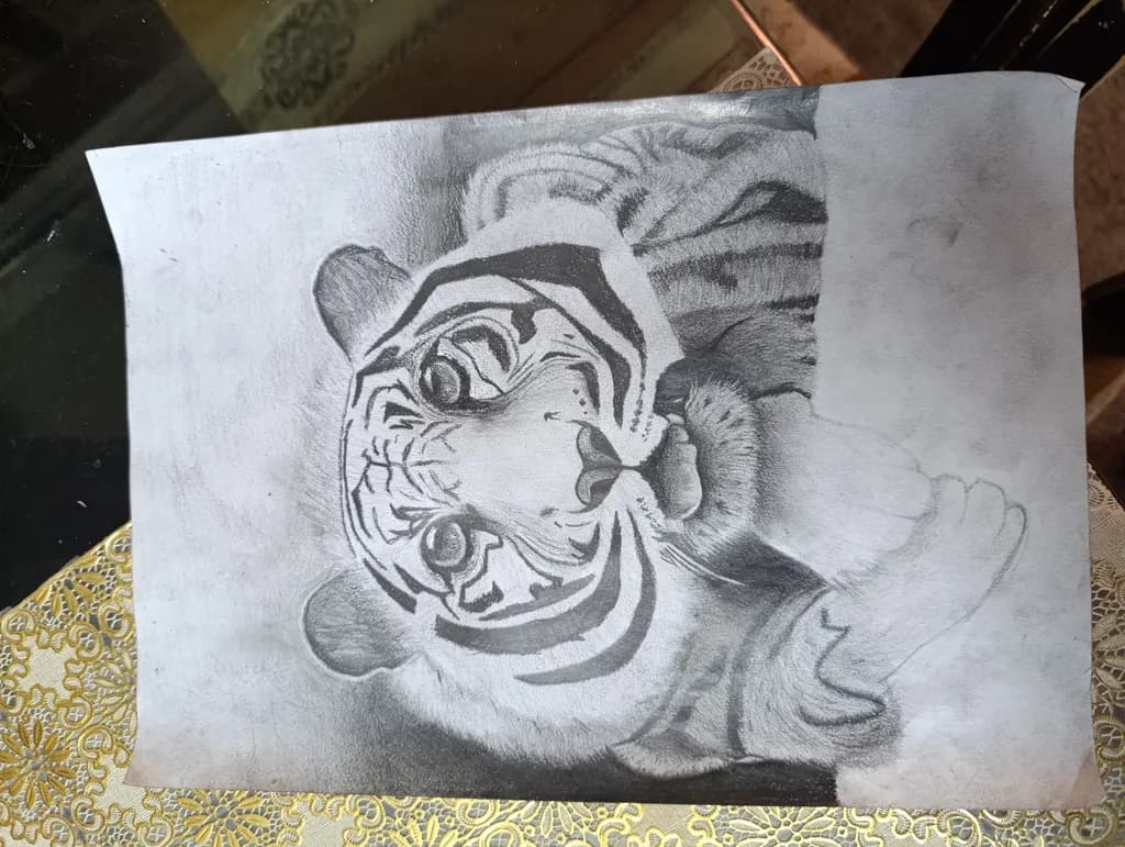 Gaze of the Tiger