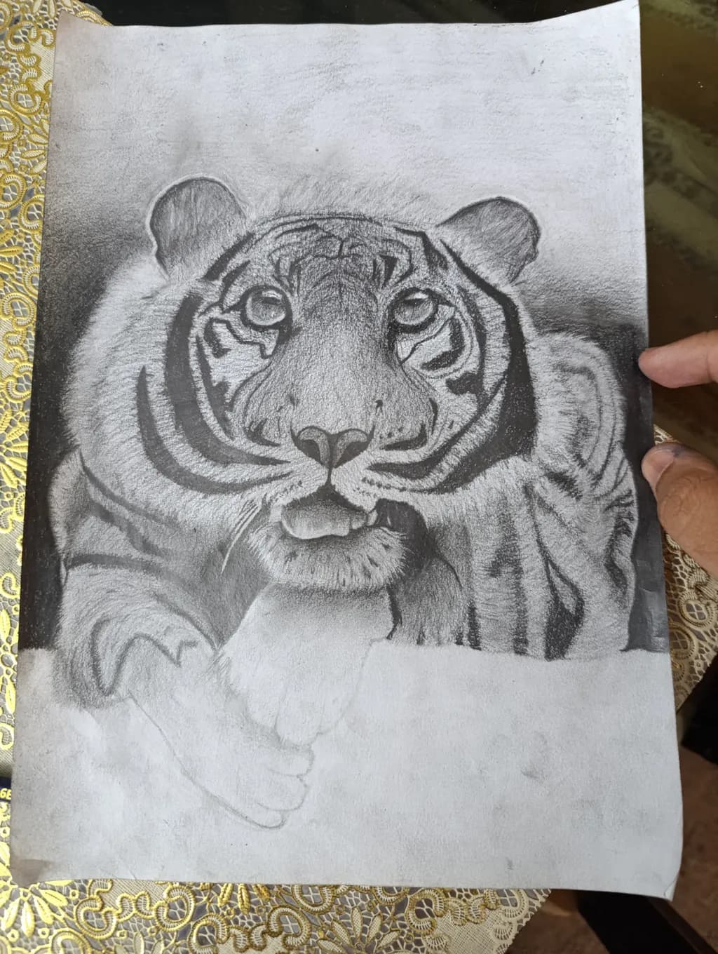 Gaze of the Tiger