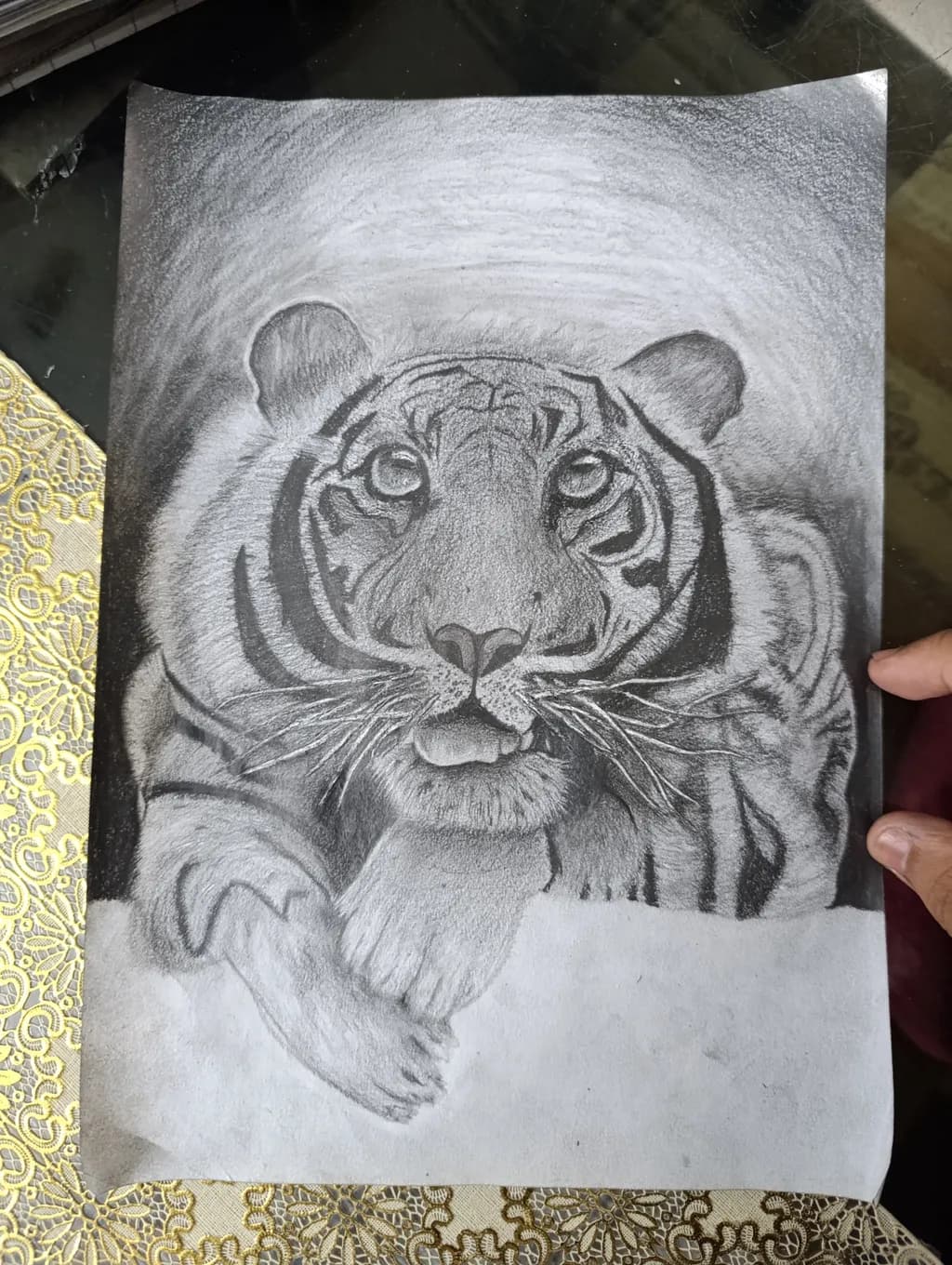 Focused Majesty