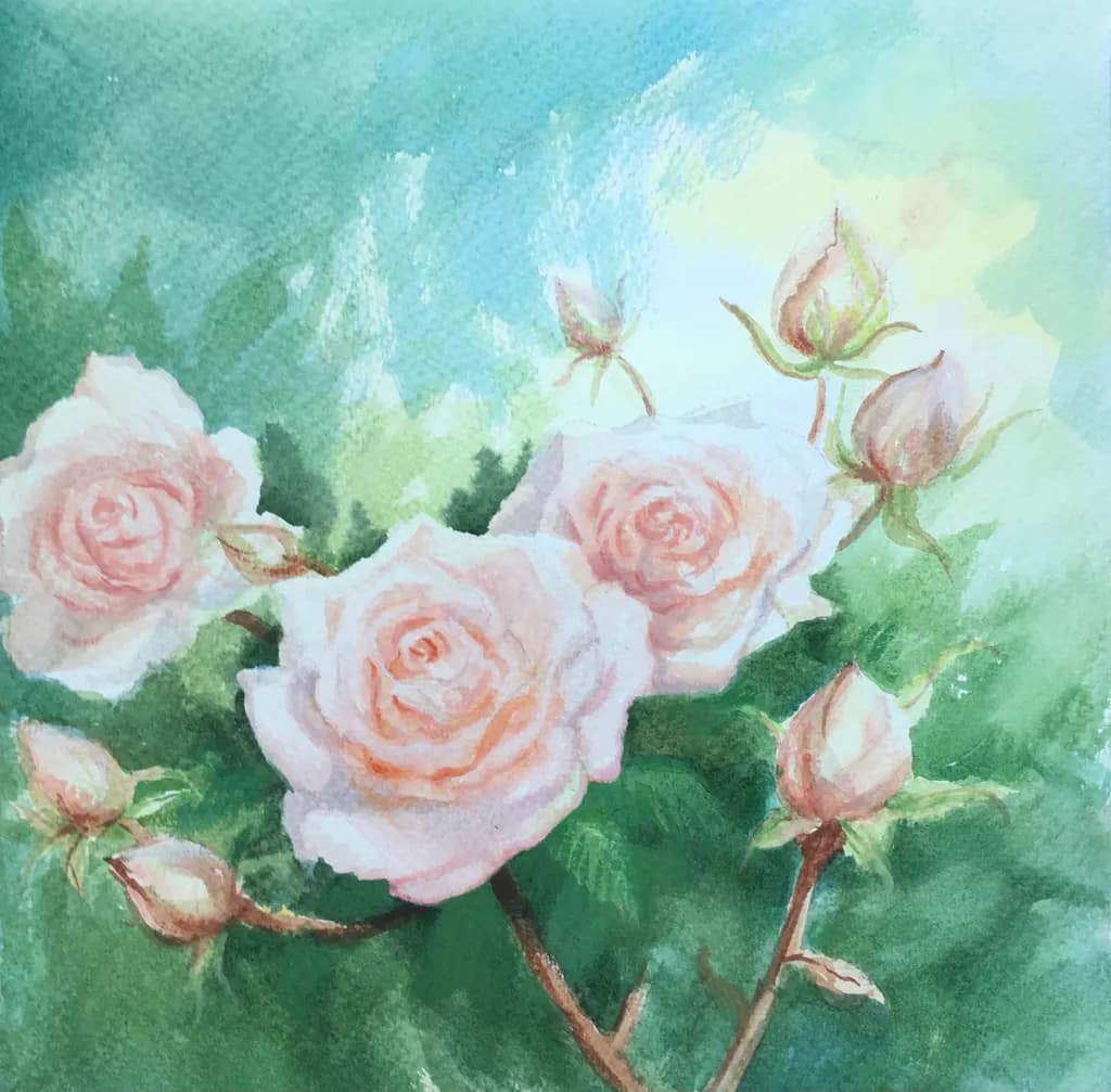 Blushing Roses