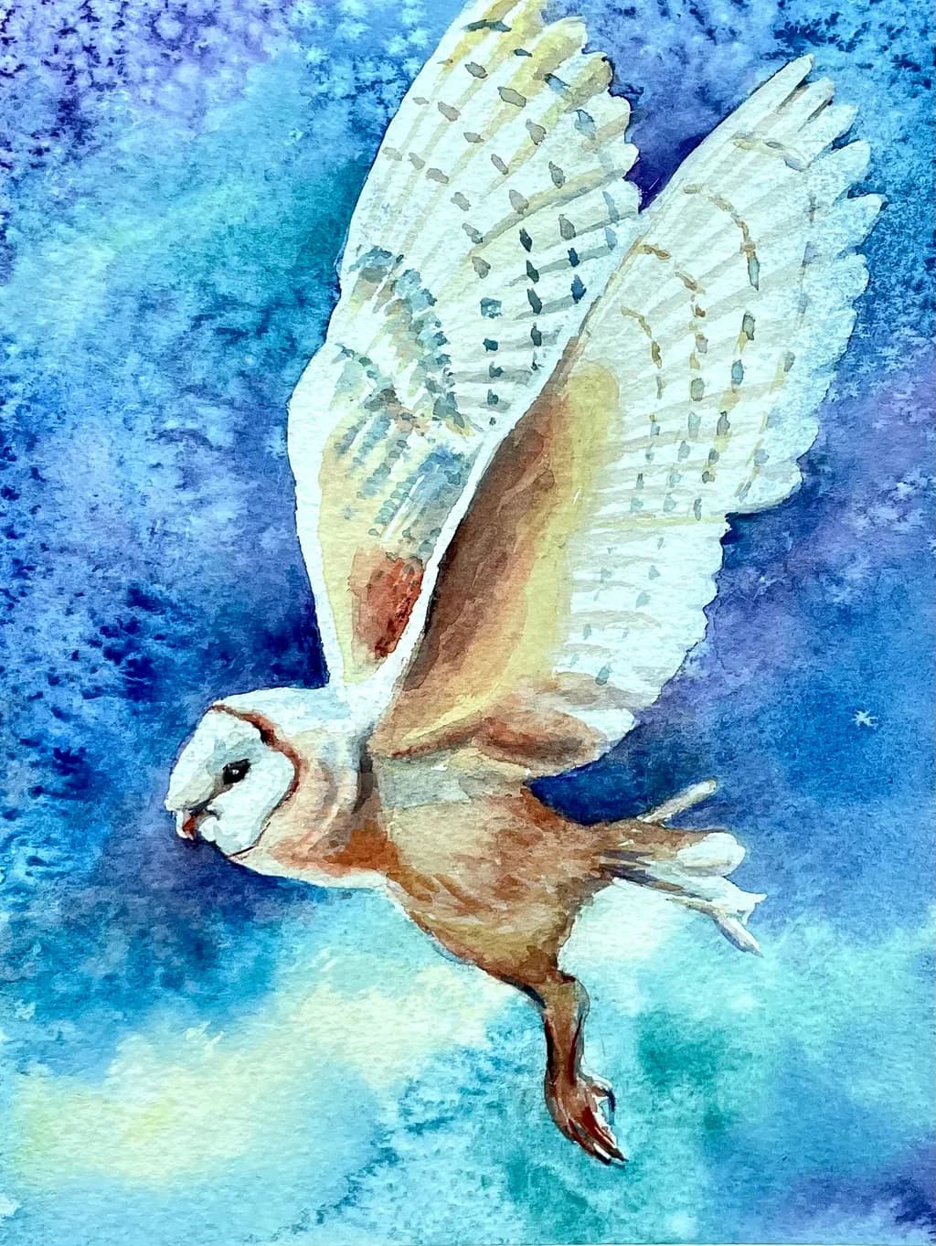 Soaring Owl