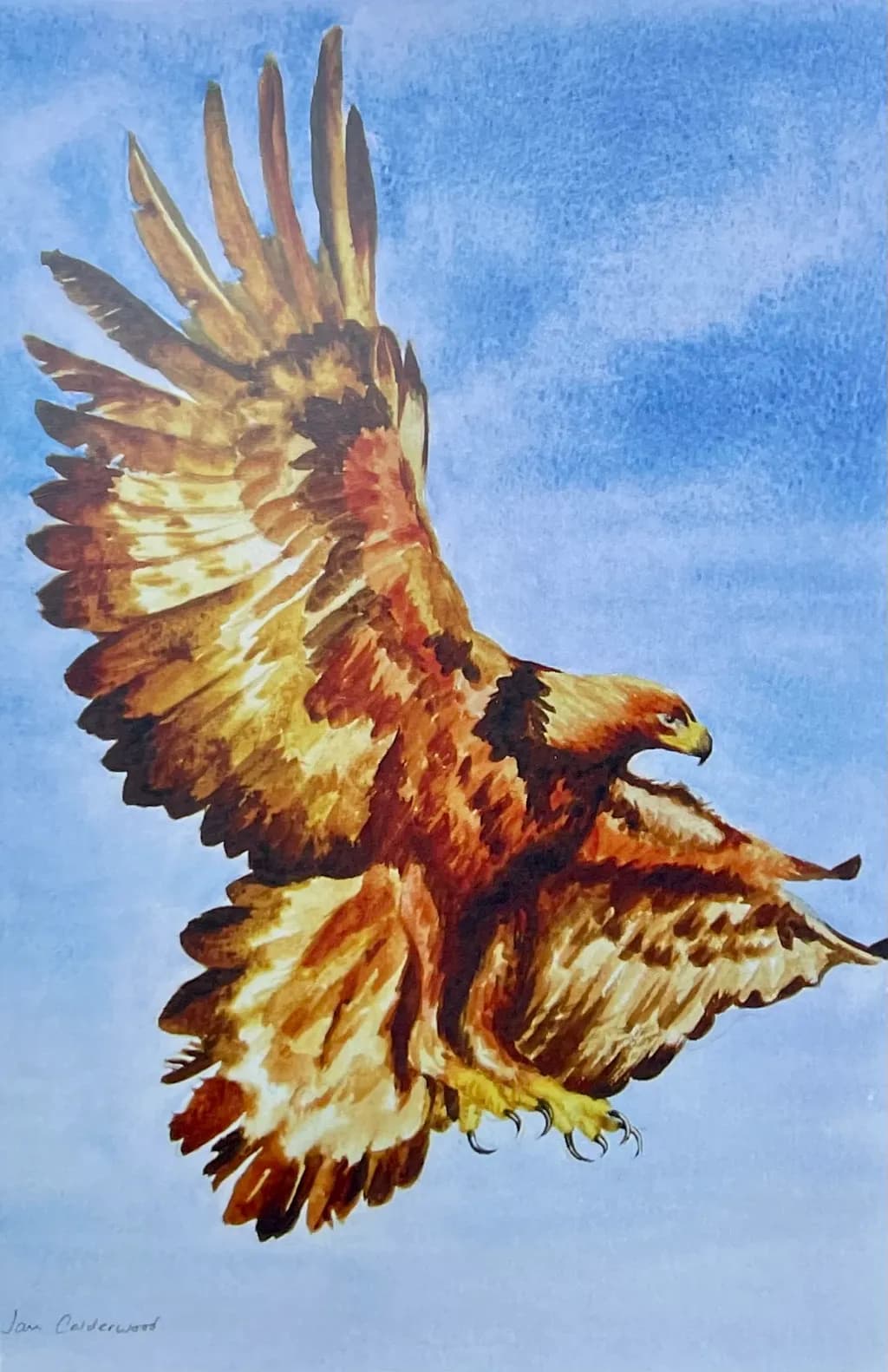 Majestic Flight