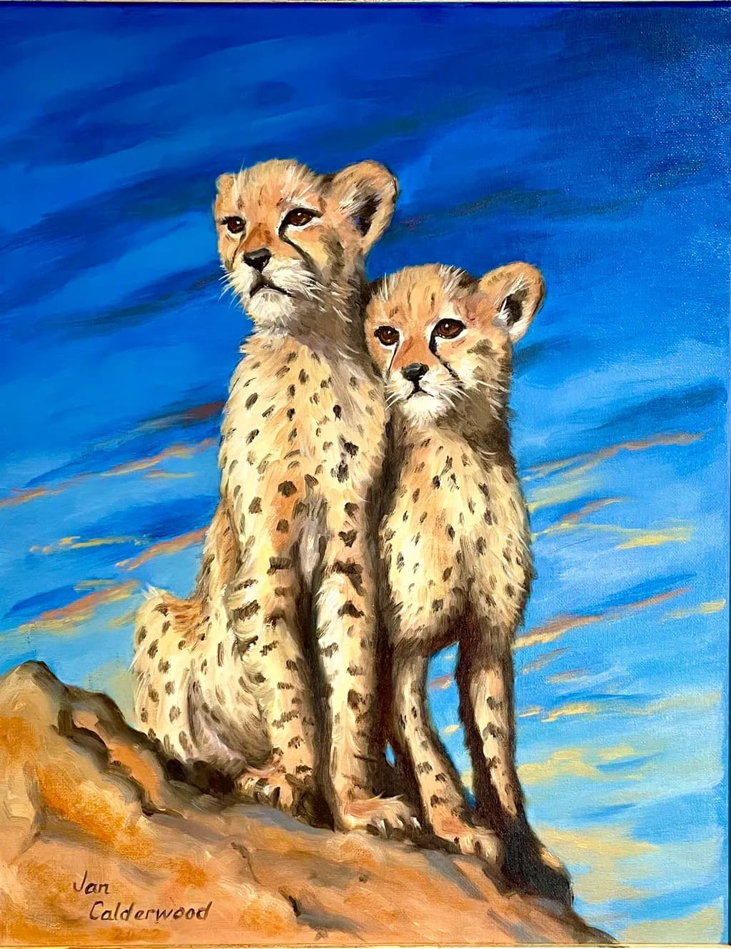 Cheetah Cubs