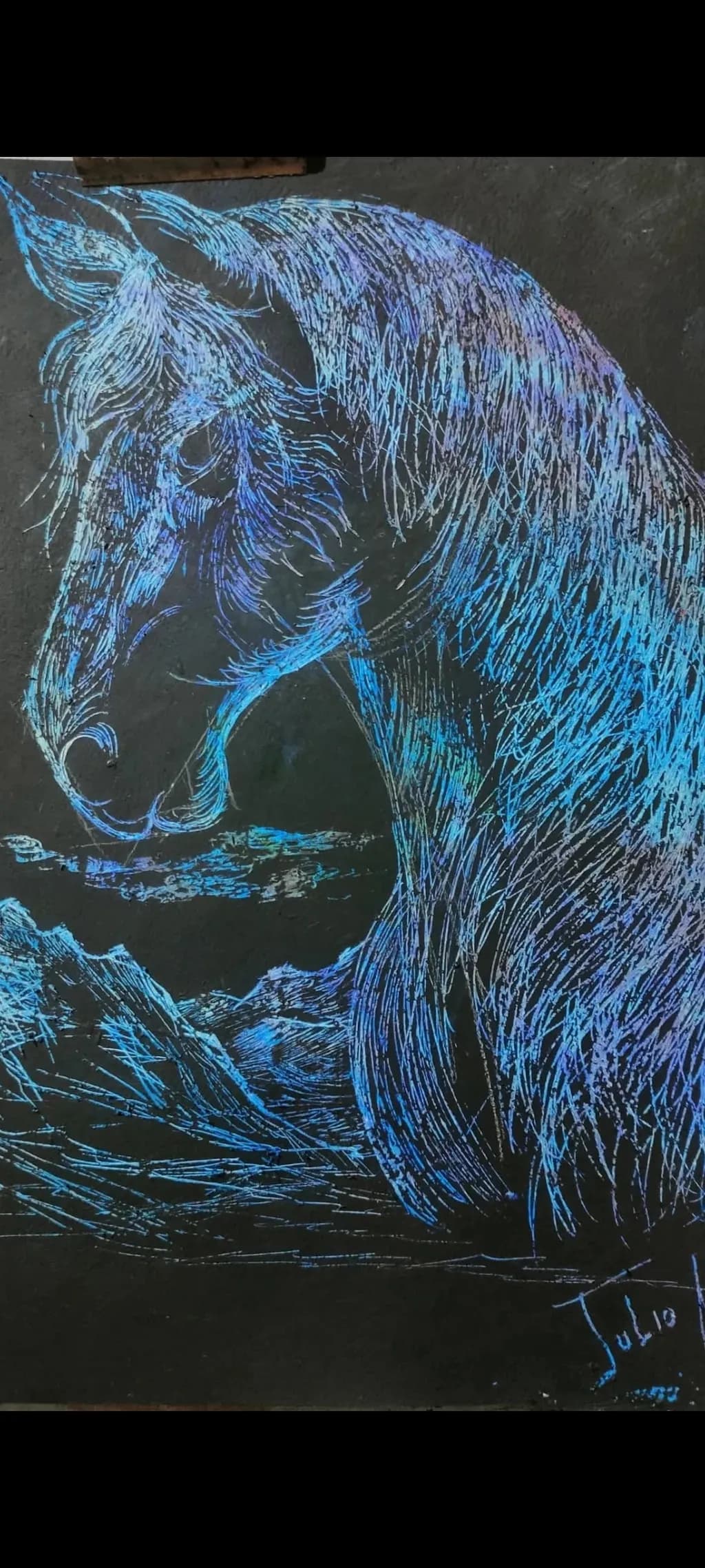 Majestic Equine