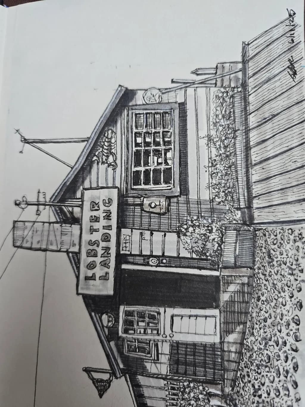 Lobster Landing Sketch