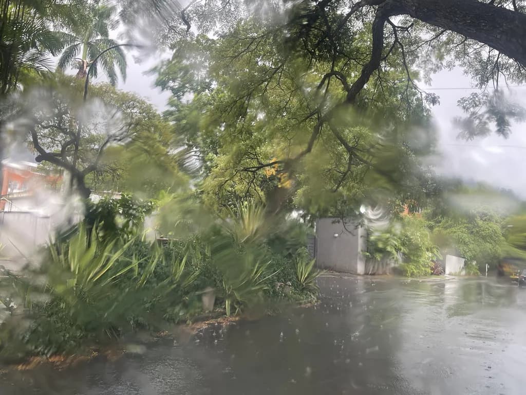 Rainwashed Garden Street