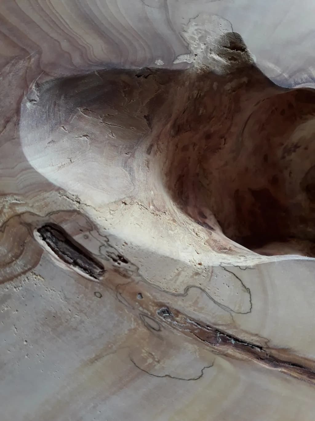 Wood Vein Contours