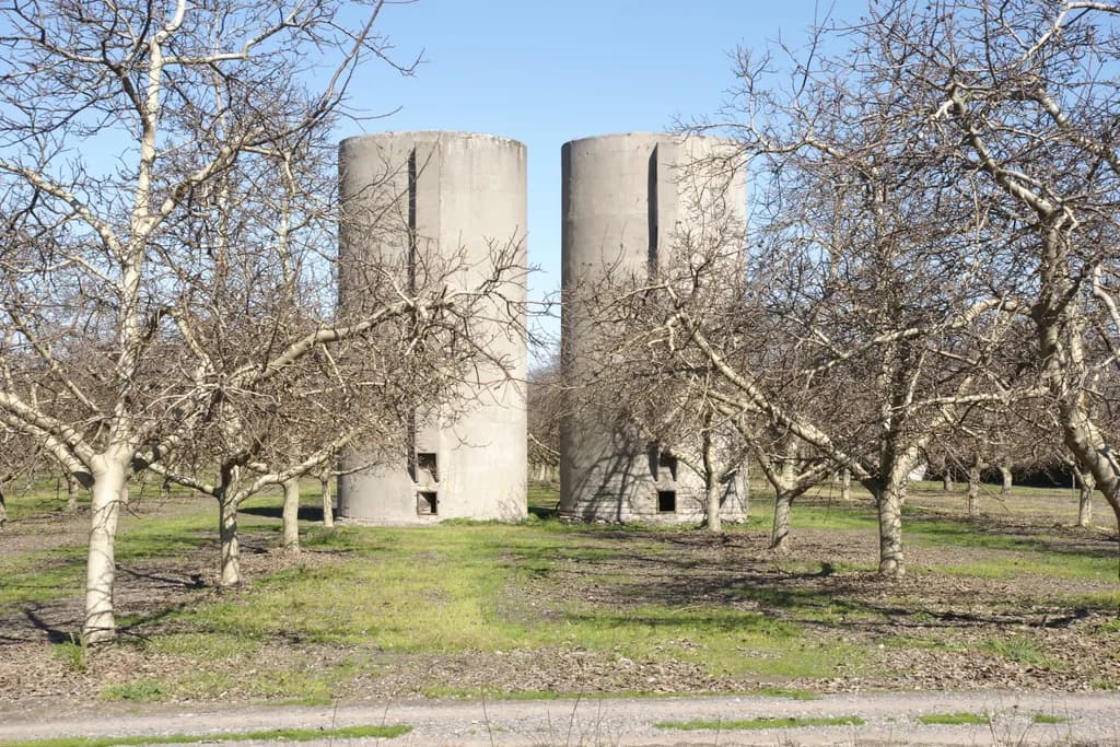 Winter Orchard Silos