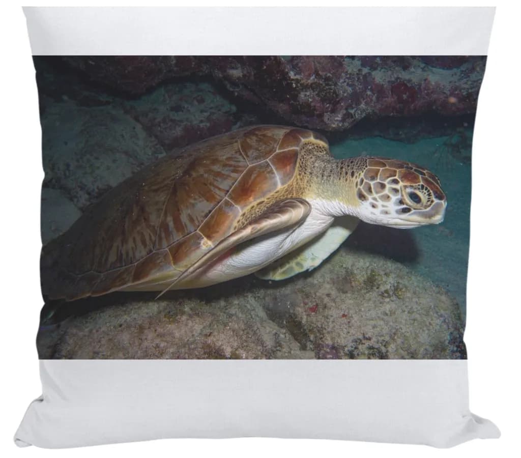 Underwater Turtle Portrait