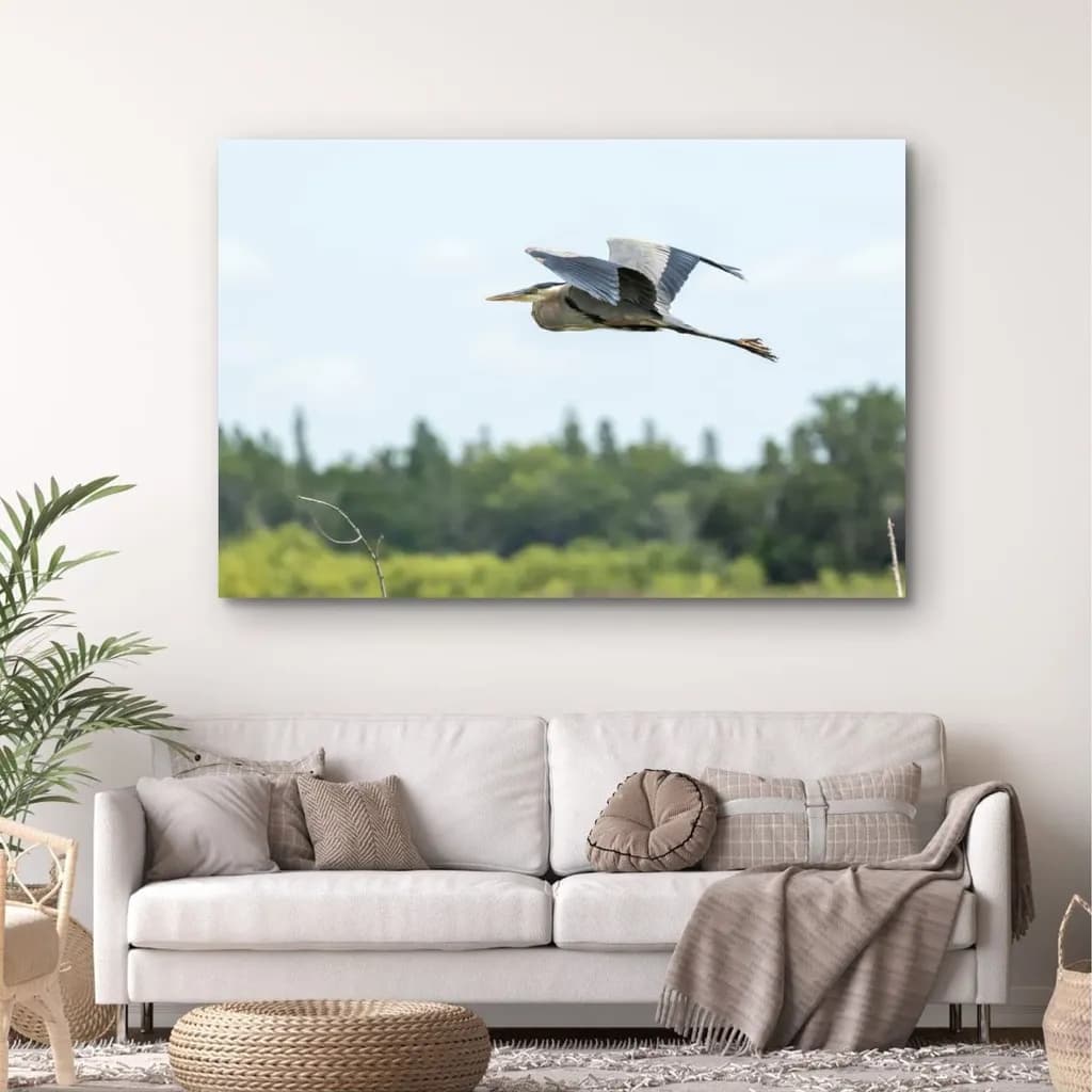 Soaring Heron